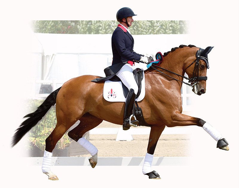 gareth monoflap dressage saddle_f