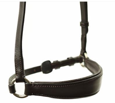 Ascot drop noseband