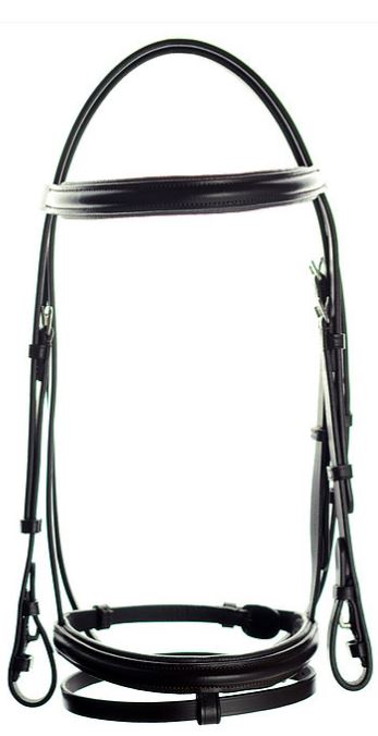 Ascot flash bridle