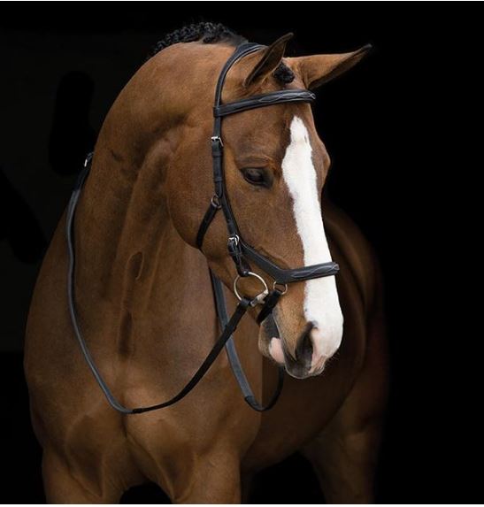 Snaffle Bridles