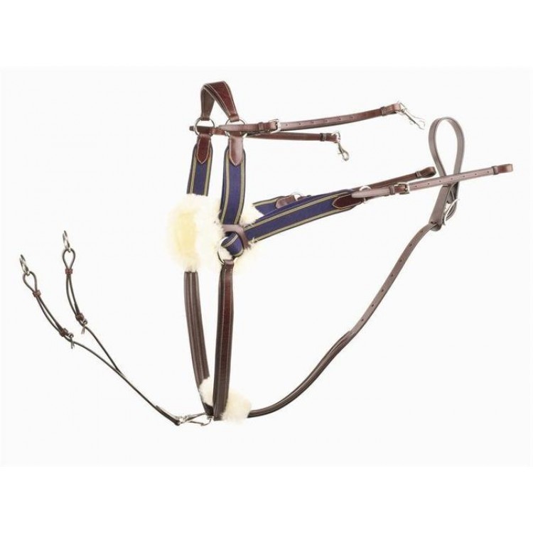 Martingales and Breast Plates Martingales and Breast Plates