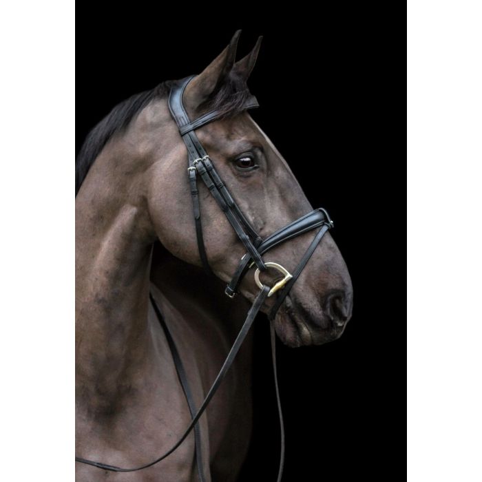 ecolux_bridle_1_4