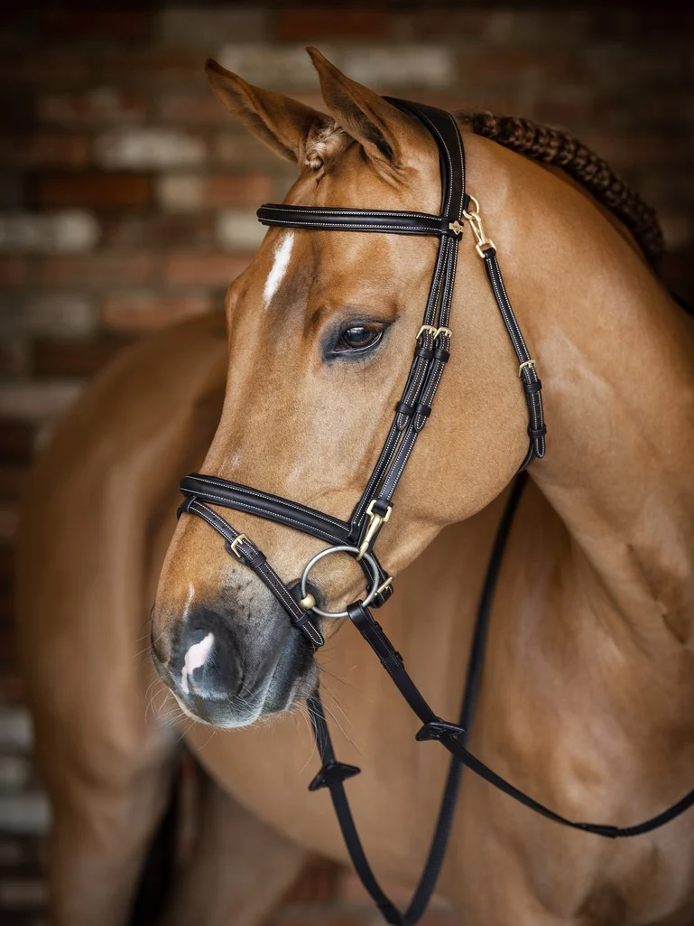 le mieux work bridle