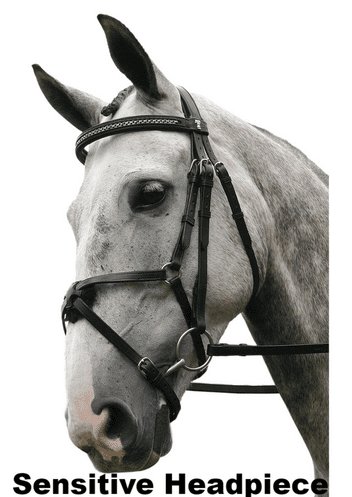 sabre-cordoba-sensitive-german-silver-mexican-grackle-snaffle-comfort-bridle-737-p